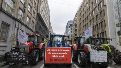 De Europese Raad geeft groen licht voor gerichte herziening van het gemeenschappelijk landbouwbeleid (GLB).