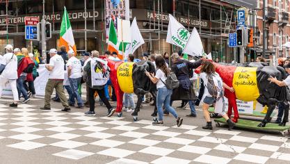 Het protest van de European Milk Board in Brussel was met plastic koeien in plaats van tractoren.