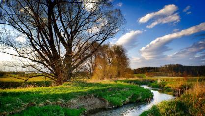 Meer dan 70 bedrijven en bedrijfsverenigingen roepen de Europese lidstaten en het Belgisch voorzitterschap van de Raad op om alsnog voor de Natuurherstelwet te stemmen.