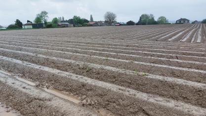 De Belgapomnotering steeg deze week voor de tweede week op rij.