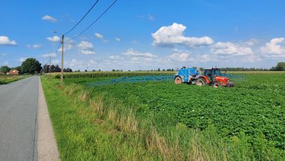 Een boer behandelt zijn aardappelplanten tegen fytoftora, of de aardappelziekte.