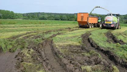 Cumela vindt het noodzakelijk om het systeem van kalenderlandbouw te herzien.