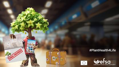 #PlantHealth4Life is een campagne die is ontwikkeld rondom plantgezondheid in de hele EU.