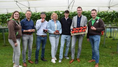 Minister Brouns werd op uitnodiging van Boerenbond en Groene Kring ontvangen op het aardbeienbedrijf van Gert, Inge en Robbe.