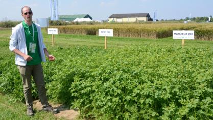 Conceptmanager Sander Maes toonde diverse groenbedekkermengsels, zoals Matacelie Pro en Patat Pro.