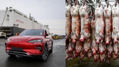 China heeft op vraag van de Chinese vleessector een anti-dumpingonderzoek gelanceerd met betrekking tot de import van varkensvlees.