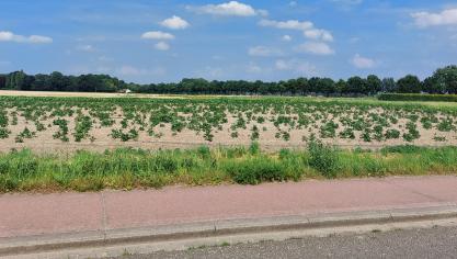De Belgapomnotering wijzigt niet op 28 juni.