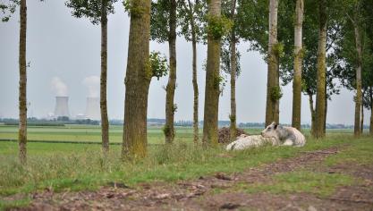 Een van de opvallendste evoluties in het rapport is dat steeds meer mensen naar het platteland verhuizen.