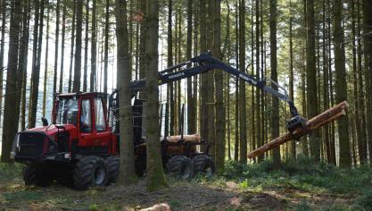 Na de 4 dagen op de Beurs van Libramont worden de bezoekers verwacht in het bos van Bertrix, waar  de 22ste editie van Demo Forest georganiseerd wordt.