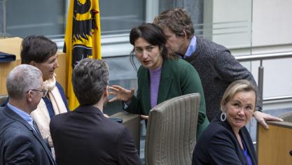 Kort na de stemming van het stikstofdecreet in het Vlaams parlement, kondigde Boerenbond al aan dat ze naar het Grondwettelijk Hof zouden stappen.
