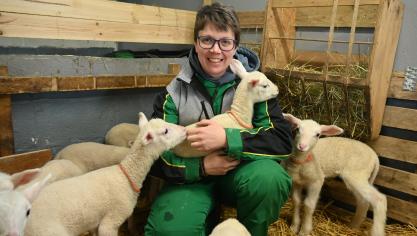 Stéphanie Parent doet de lammeren een halsband om met de naam van de moeder en identificeert hen met een oormerk.
