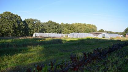 Het onderzoek van de UGent naar CSA-boerderijen concludeert dat duurzame landbouw niet alleen mogelijk is, maar ook rendabel kan zijn.