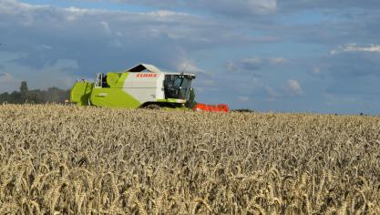 De Europese prijzen worden beïnvloed door de lagere Franse tarweproductie.