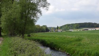 De Europese Commissie daagt België voor het Hof van Justitie van de EU omdat Vlaanderen onvoldoende maatregelen heeft genomen tegen nitraatverontreiniging.