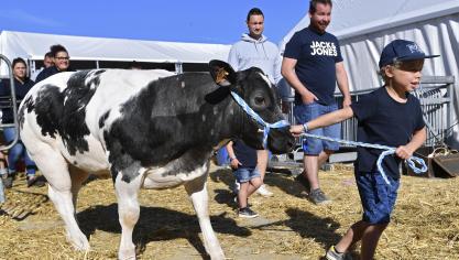 We zijn de helft van onze boeren en boerderijen in een generatie kwijtgeraakt, aldus de FJA.