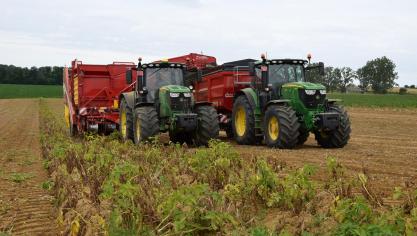 Nog nooit eerder waren  de situaties zo extreem uiteenlopend in het aardappelveld: op een moment dat de vroege aardappelen gerooid worden, dienen de late extreem goed  opgevolgd te worden.