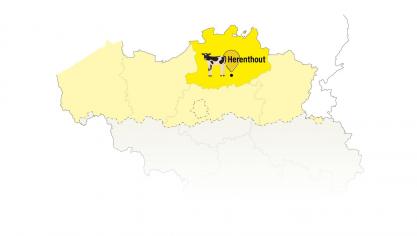 carte-Herenthout (2).web