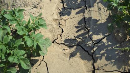 De klimaatverandering kan nieuwe plagen en ziekten met zich meebrengen of het bewerken van het land bemoeilijken.
