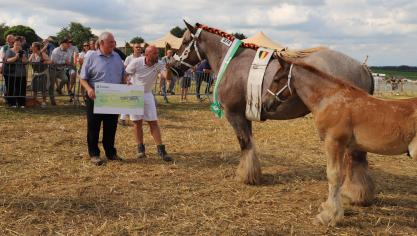 Kampioenmerrie Line van de kleine Heide van Vlaams-Brabant werd bekroond met een cheque van 500 euro.