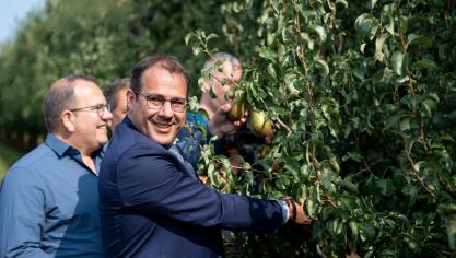Op 19 augustus trapte minister Clarinval en Boerenbond het perenplukseizoen af.