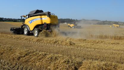 In heel Vlaanderen variëren de opbrengsten in wintertarwe tussen 3 en 9,5 ton/ha.