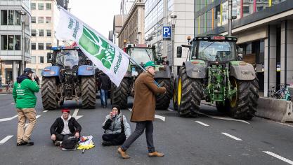 Ook het ABS stapt naar het Grondwettelijk Hof om het Stikstofdecreet juridisch aan te vechten.