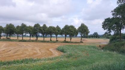 Naast landbouwverenigingen, trekken nu ook enkele milieuorganisaties naar het Grondwettelijk Hof tegen het Stikstofdecreet.