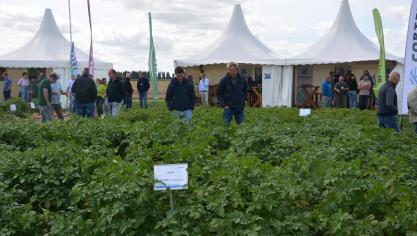 Op het buitenterrein kon je onder meer proefvelden met objecten over rassen, gewasbescherming en bemesting bekijken.