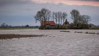 Na de waterellende van vorig jaar wordt de winterdijk van het Blankaartbekken nu verstevigd.
