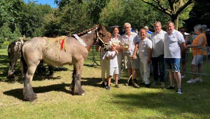 Billy van de Molenput met fokker familie De Brabander en eigenaar familie Imschoot, voorzitter VOT Didier Van Hoorebeke en voorzitter KMBT Jan De Boitselier.