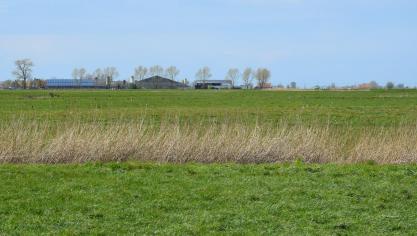 De gemiddelde prijs van landbouwgrond in West-Vlaanderen bedraagt in de eerste helft van 2024 meer dan 83.000 euro/ha.