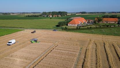 Het LCG-rassenonderzoek in wintertarwe nam 37 variëteiten mee in zijn onderzoek.