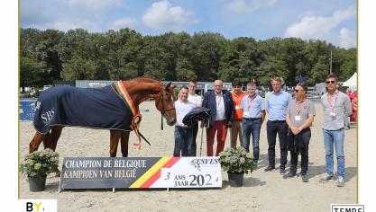 Panama du Haut du Roy, Belgisch Kampioene driejarigen 2024 met Medaille van de Koning.