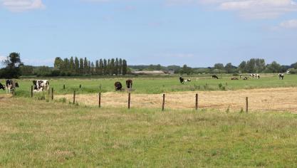 Overheden kopen nog landbouwgrond, maar niet om te verpachten aan boeren, vaak wel voor het behalen van natuurdoelstellingen.