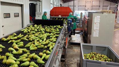 De fruitsector levert geen grondstof, maar een  eindproduct.