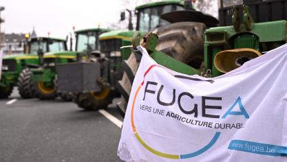 Fugea plant een betoging voor maatregelen tegen het blauwtongvirus.