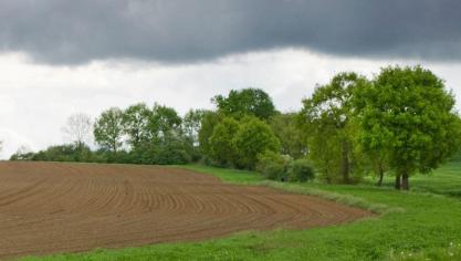 Landbouwers worden eraan herinnert om erosiebufferstroken dit najaar aan te leggen.
