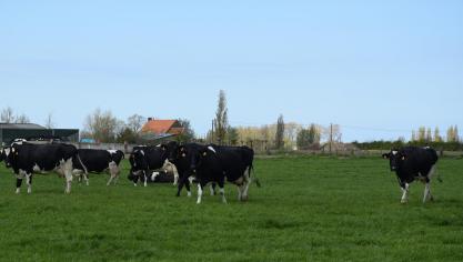 In 2022 stootte de primaire sector, waaronder landbouw, voor het eerst minder broeikasgassen uit dan in 2008.