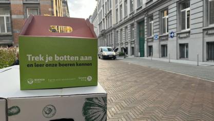 Afbeelding van WhatsApp op 2024-10-08 om 09.50.28_0dd4c99a