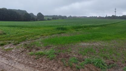 De betrokken percelen zijn vruchtbare zandleemgronden die erg kostbaar zijn voor de landbouwsector in de regio.