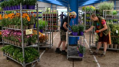 Belgische bloemisten en bloemenkwekers worden regelmatig gecontroleerd en moeten jaarlijks vormingen rond het gebruik van gewasbeschermingsmiddelen volgen.