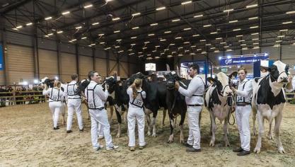 Agriflanders neemt maatregelen voor bioveilige rundveeprijskampen.