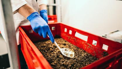 Thomas More viert 10 jaar insecten kweken met vernieuwde opleiding