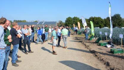 Op de proefvelden van Viaverda stelden vertegenwoordigers van diverse  zaadhuizen hun nieuwe preirassen voor.