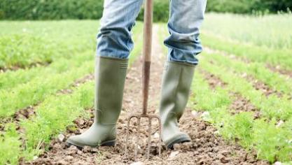 De productiewaarde van de landbouwsector steeg in 2023 lichtjes met 0,6% ten opzichte van 2022.