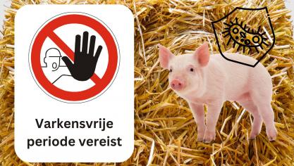Een diervrije periode is gericht op het voorkomen van ziekte-introductie die indirect via bezoekers en personeel binnengebracht kan worden.