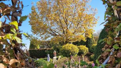 Herfstbladeren zijn niet alleen mooi, maar ook de basis  voor vruchtbare bladaarde.