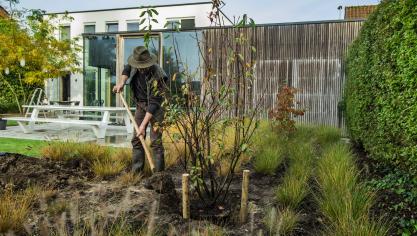 Op Nationale Boomplantdag (zaterdag 9 november) vraagt VLAM je om zelf een boom te planten.