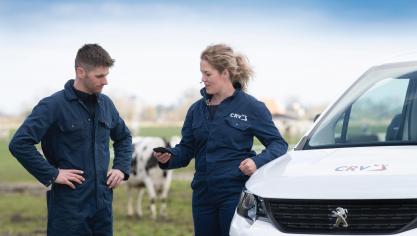 CRV heeft op 13 november zijn medewerkers in Nederland en Vlaanderen geïnformeerd over een herstructurering van de organisatie. Hiermee anticipeert het bedrijf op de verwachte krimp in de veestapel.
