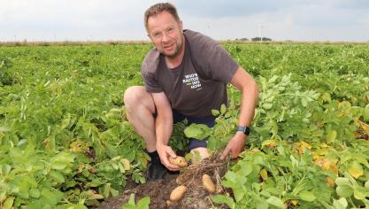 Harry Schreuder: “Een deel van de Innovators is op contract bij Lamb Weston. Daardoor is vorig jaar een deel naar Lutosa in Leuze-en-Hainaut gegaan. Daar zullen vast Vlaamse frieten van gemaakt zijn.”